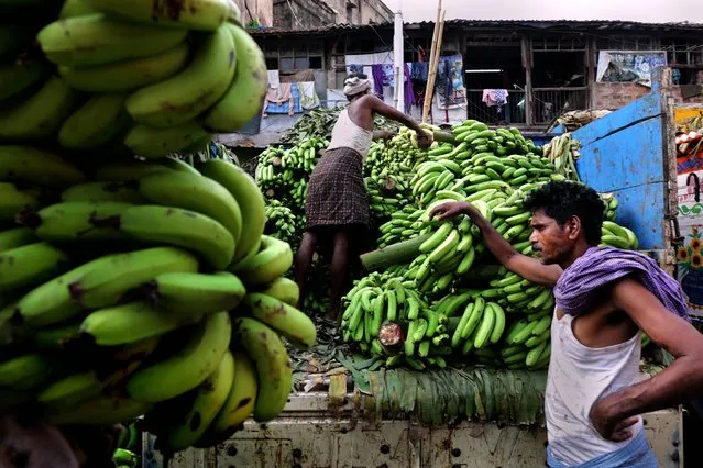Indian laborers handle bananas during an auction at Mechua fruit market in Calcutta, eastern India, 15 June 2016. India produces 30 percent of the world’s banana. As per government record, India exported 65,844 tons of bananas in 2013-14 against 45,573.23 tons in the previous financial year. (Photo by Piyal Adhikary/EPA)