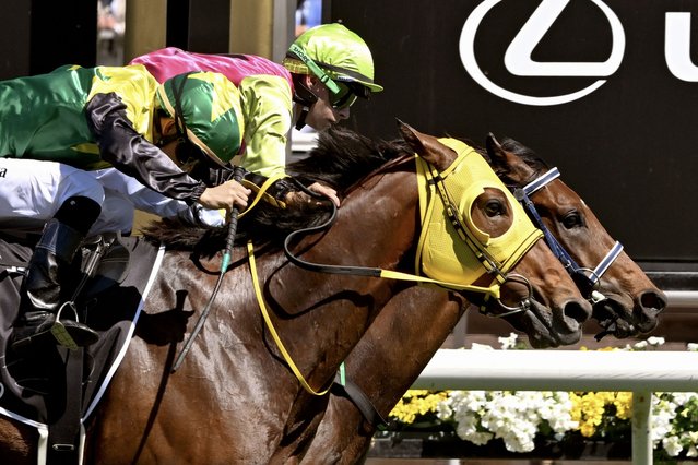 Knight's Choice (R) ridden by Irish jockey Robbie Dolan hits the line to win the Aus$8 million (US$5.25 million) Melbourne Cup horse race, ahead of Japanese horse Warp Speed ridden by jockey Akira Sugawara at the Flemington Racecourse in Melbourne on November 5, 2024. (Photo by William West/AFP Photo)