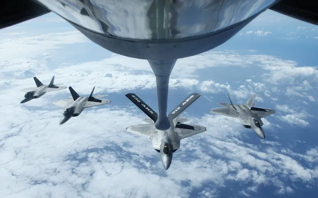 Four F22 Raptors fly in formation after a mid-air refueling exercise with a KC-135R Stratotanker as they participate in the multi-national military exercise RIMPAC in Honolulu, Hawaii, July 26, 2016. (Photo by Hugh Gentry/Reuters)