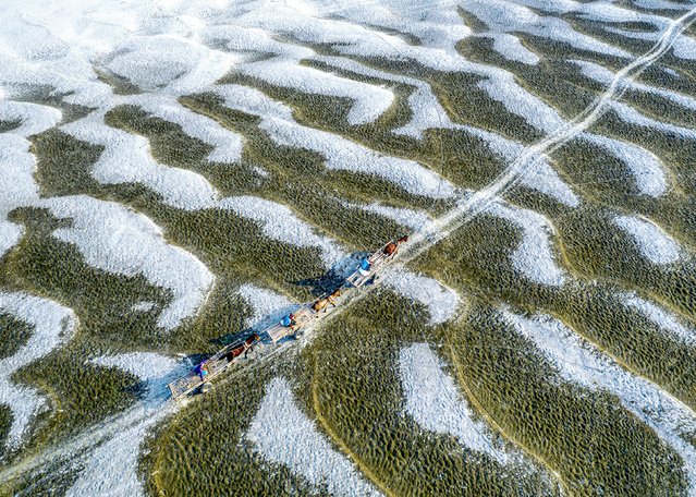 Aerial view of horse-drawn carts traveling on dried riverbeds in Kurigram, Bangladesh in the first decade of December 2024, illustrating the effects of drought and climate change. (Photo by Shafiul Islam/Solent News)