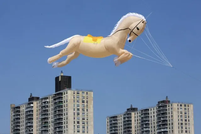 A large horse-shaped kite flies near apartment buildings at Coney Island Beach in Brooklyn, New York August 15, 2015. (Photo by Andrew Kelly/Reuters)
