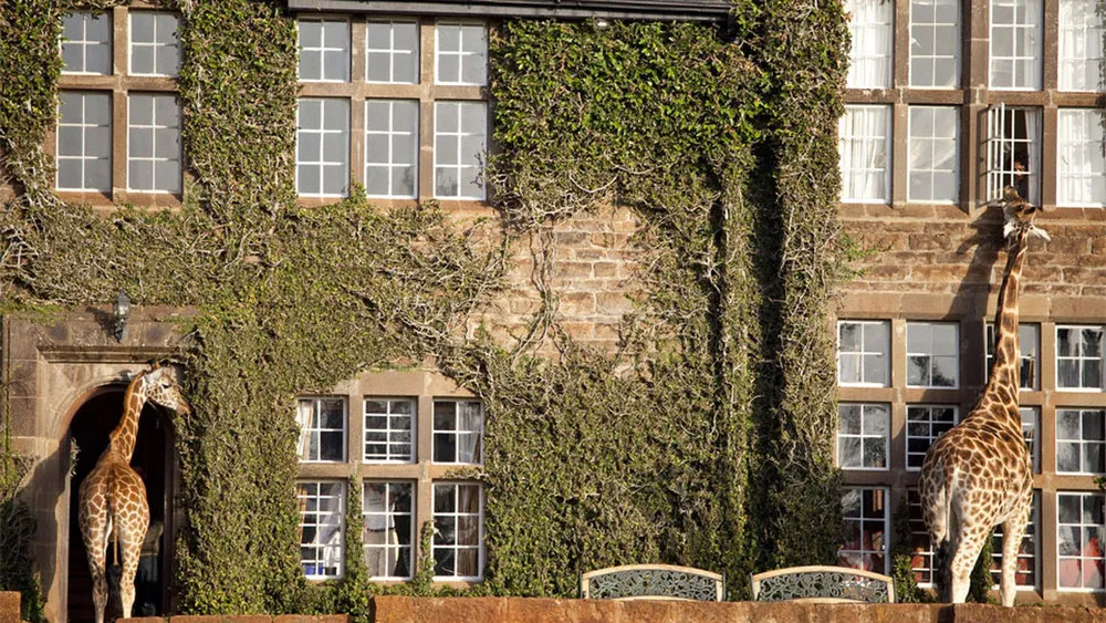 The World's Only Giraffe Hotel in Kenya