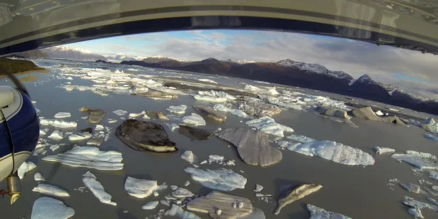 Icebergs are seen floating in Harlequin Lake near Yakutat, in southeastern Alaska, October 7, 2014. (Photo by Bob Strong/Reuters)