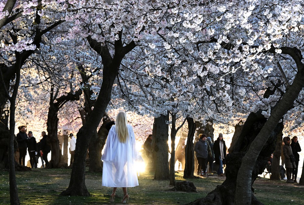 Pictures of the Year 2024, Part 068/240