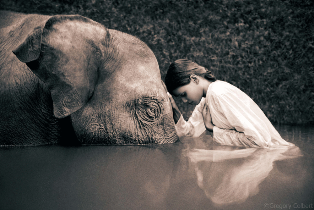 “Ashes and Snow” by Gregory Colbert 
