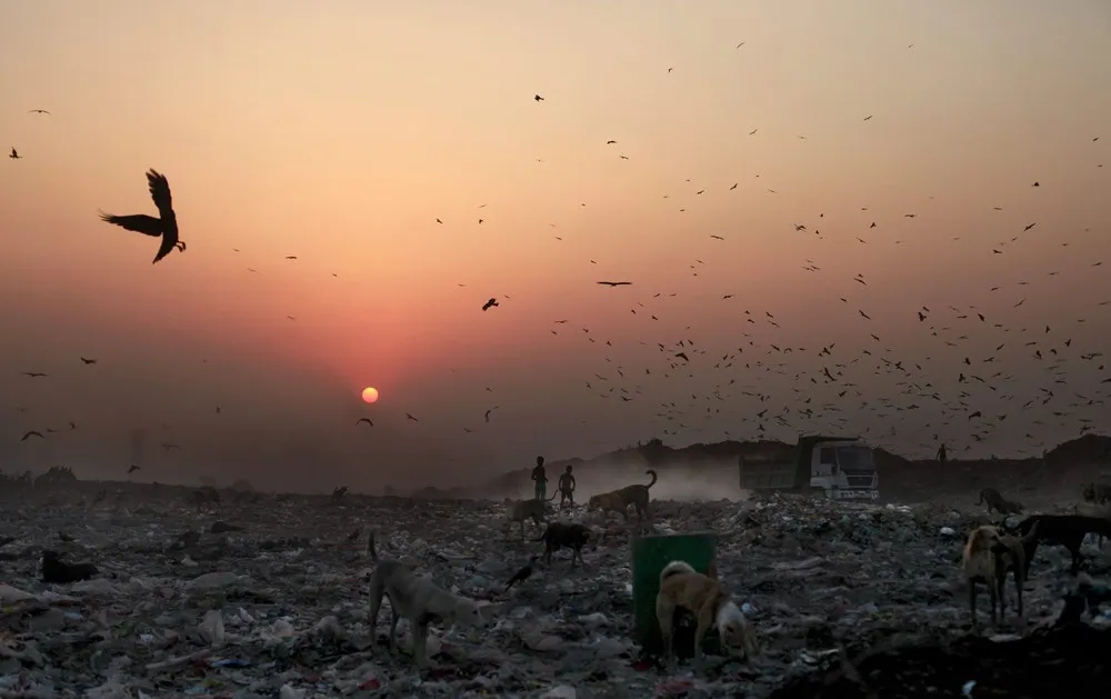 Young Waste Pickers in India