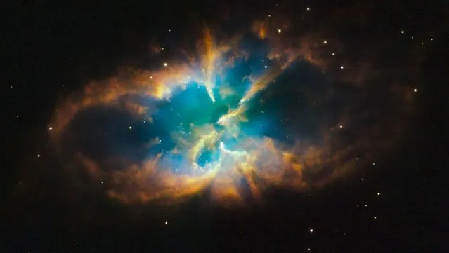 This image provided by the Hubble Space Telescope shows the striking details of the famed planetary nebula designated NGC 2818, which lies in the southern constellation of Pyxis (the Compass). (Photo by AP Photo/NASA)