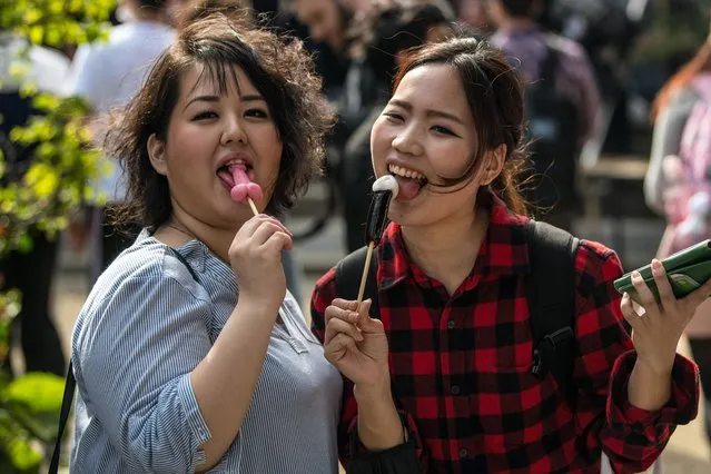 Women react to the camera as they eat phallic-shaped lollipops during Kanamara Matsuri (Festival of the Steel Phallus) on April 1, 2018 in Kawasaki, Japan. (Photo by Carl Court/Getty Images)