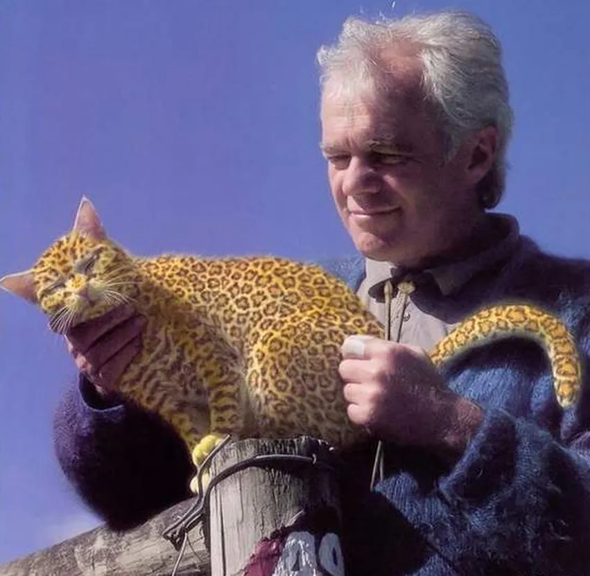 New Form of Art: Cat Painting