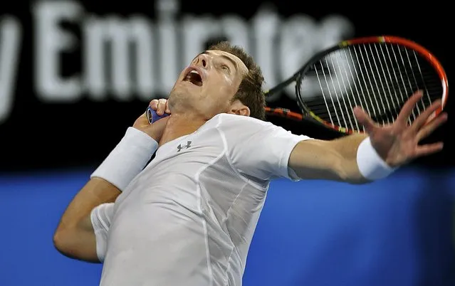 Andy Murray of Britain serves to Marinko Matosevic of Australia during their men's singles tennis match at the 2015 Hopman Cup in Perth, January 9, 2015. (Photo by Reuters/Stringer)