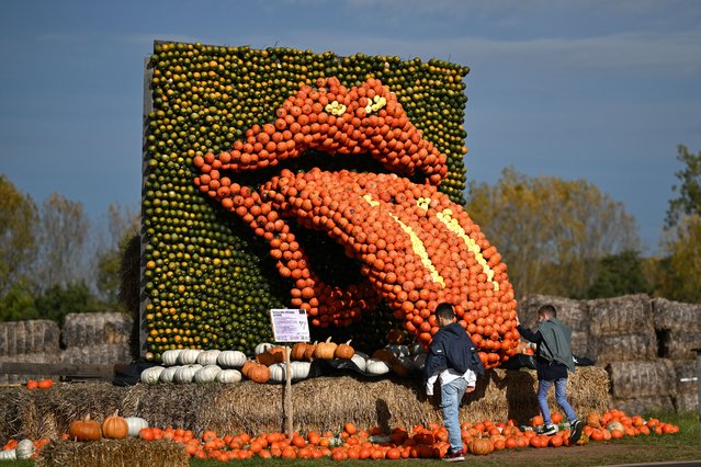 Visitors look on an exhibit depicting the logo of the Rolling Stones in from of a tongue at a pumpkin exhibition themed around the theme of music at the Krewelshof near Mechernich, western Germany, on October 16, 2024. (Photo by Ina Fassbender/AFP Photo)