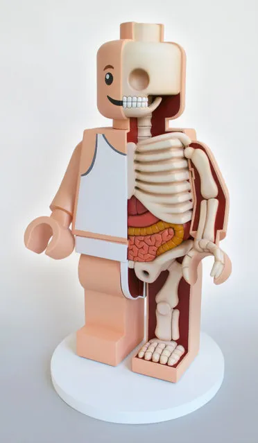 Anatomical Toys By Jason Freeny