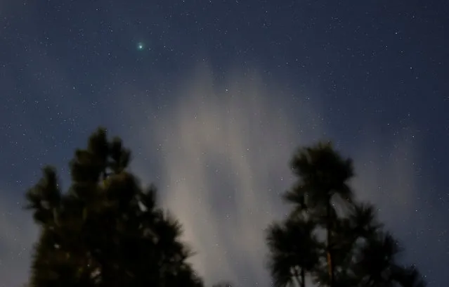 A green comet named Comet C/2022 E3 (ZTF), which last passed by our planet about 50,000 years ago, is seen from the Pico de las Nieves, in the island of Gran Canaria, Spain on February 1, 2023. (Photo by Borja Suarez/Reuters)
