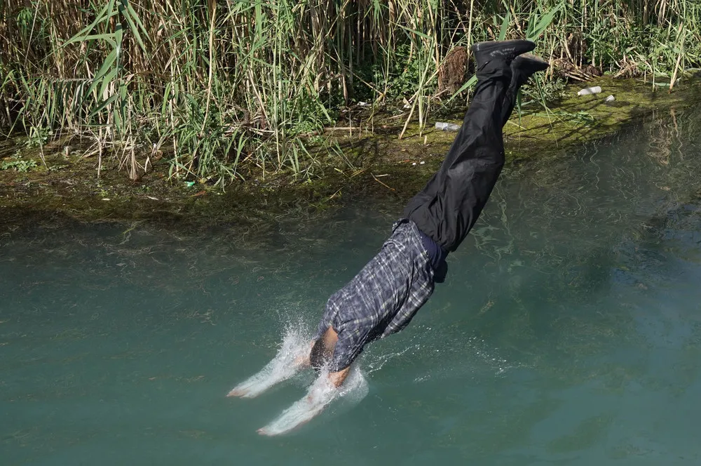 Some Photos: In Motion