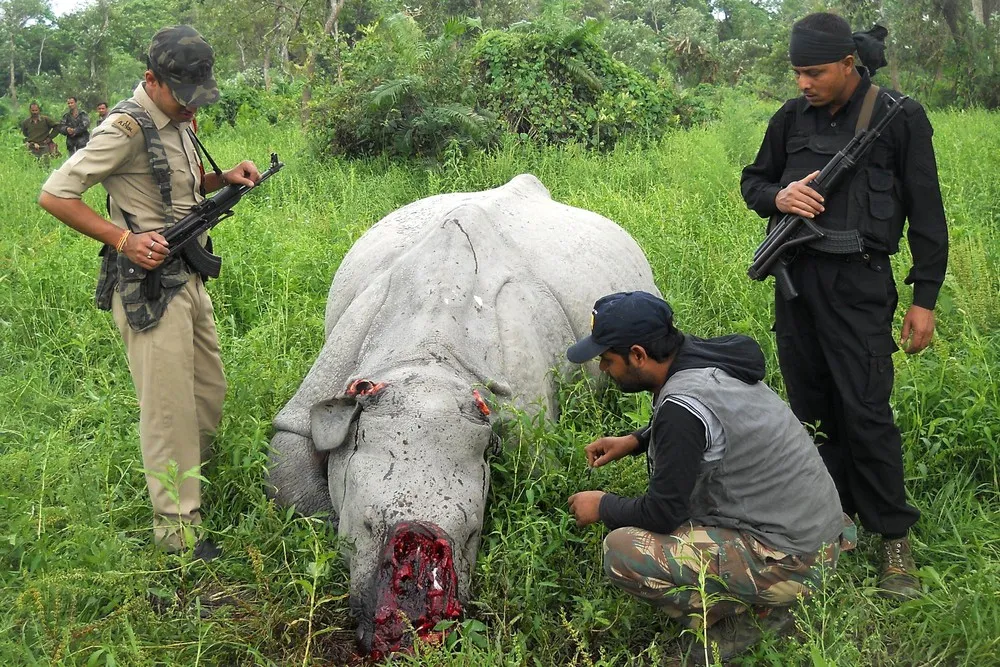 The Week in Pictures: April 4 – April 10, 2015. Part 1/6