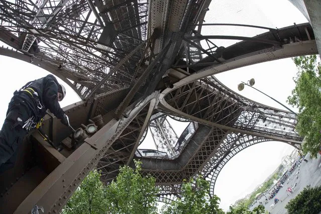 Technician Davd Kalic changes one of the sodium golden light bulbs on the Eiffel tower in Paris, France, May 5, 2015. (Photo by Philippe Wojazer/Reuters)