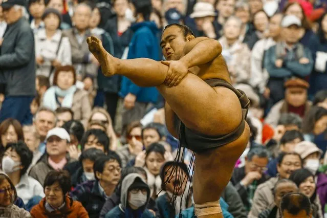 A sumo wrestler performs a ritual stomping movement before a bout at the “Honozumo” ceremonial sumo tournament at the Yasukuni Shrine in Tokyo April 3, 2015. (Photo by Thomas Peter/Reuters)