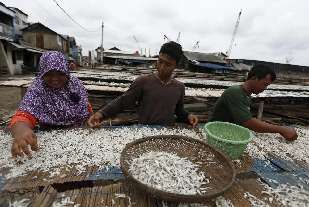 A Look at Life in Indonesia
