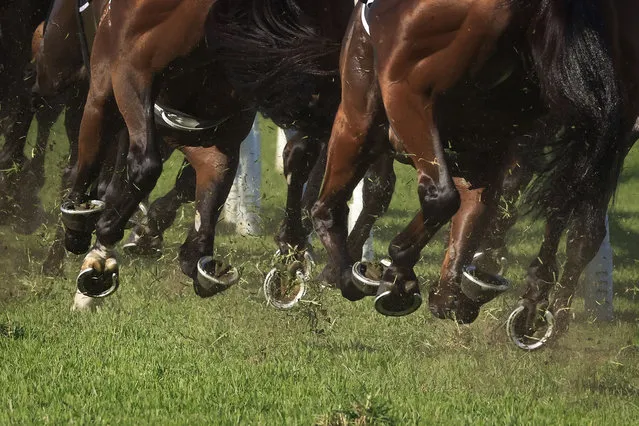 Horses hooves are seen in race 7 the Kia Tancred Stakes during Sydney Racing at Rosehill Gardens on April 03, 2021 in Sydney, Australia. (Photo by Mark Evans/Getty Images)