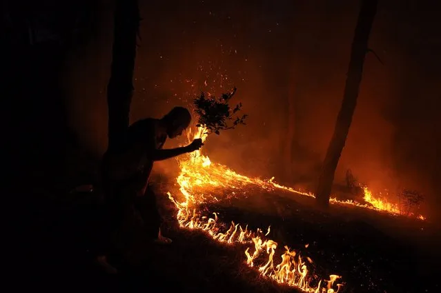 A local man tries to control a forest fire in Bhati, India, May 19, 2016. (Photo by Sanjay Baid/EPA)