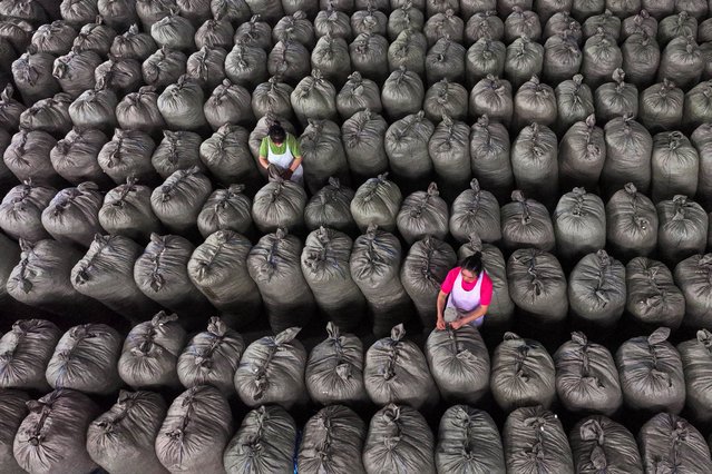 Workers sort packages of silk cocoons at a factory of a silk company in southeastern China's Chongqing municipality on July 29, 2024. (Photo by AFP Photo/China Stringer Network)