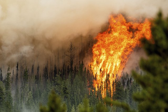 Flames from the Donnie Creek wildfire burn along a ridge top north of Fort St. John, British Columbia, Sunday, July 2, 2023. (Photo by Noah Berger/AP Photo)