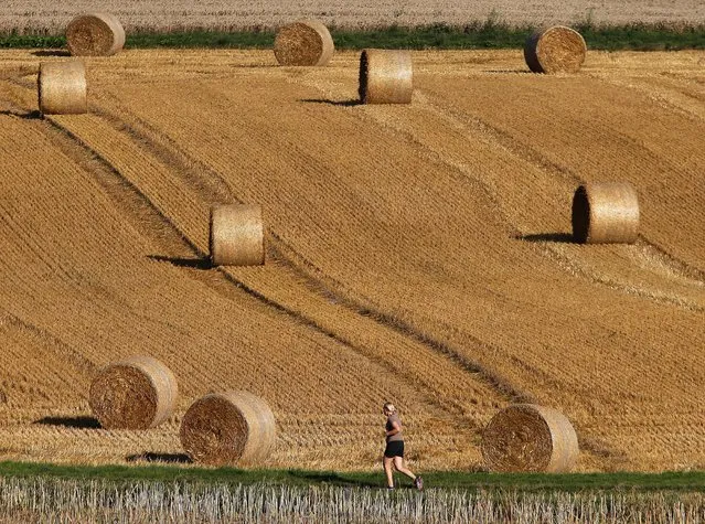 A woman runs by rolls of straw on a field in Frankfurt, Germany, Monday, July 31, 2017. (Photo by Michael Probst/AP Photo)