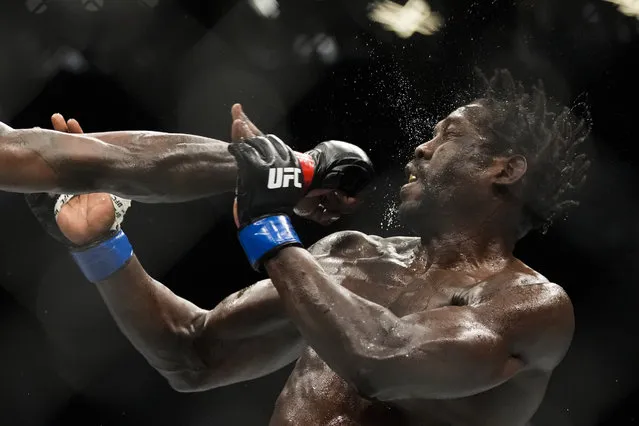 Jared Cannonier is hit by Israel Adesanya in a middleweight title bout during the UFC 276 mixed martial arts event Saturday, July 2, 2022, in Las Vegas. (Photo by John Locher/AP Photo)