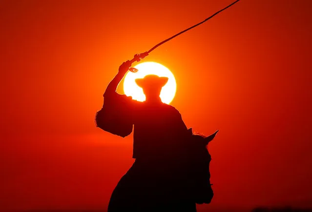 A traditional Hungarian horseman practices whiplashes as the sun sets in the Great Hungarian Plain in Hortobagy, Hungary June 29, 2016. (Photo by Laszlo Balogh/Reuters)