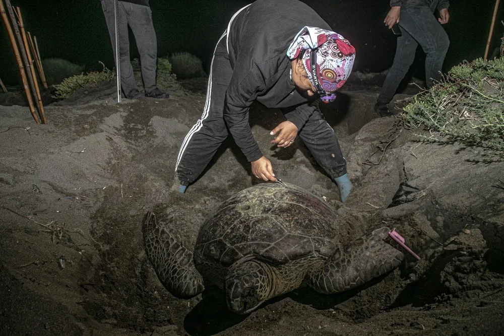 A Look at Life in Turkey