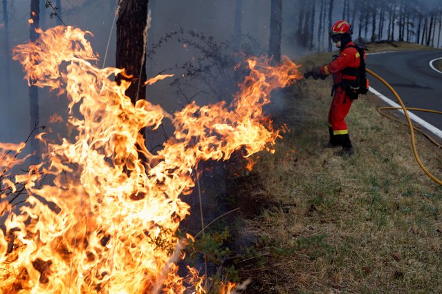 A firefighter from the Unidad Militar de Emergencias (UME) tackles a forest fire near Artazu, Navarre province, Spain on June 19, 2022. (Photo by Vincent West/Reuters)