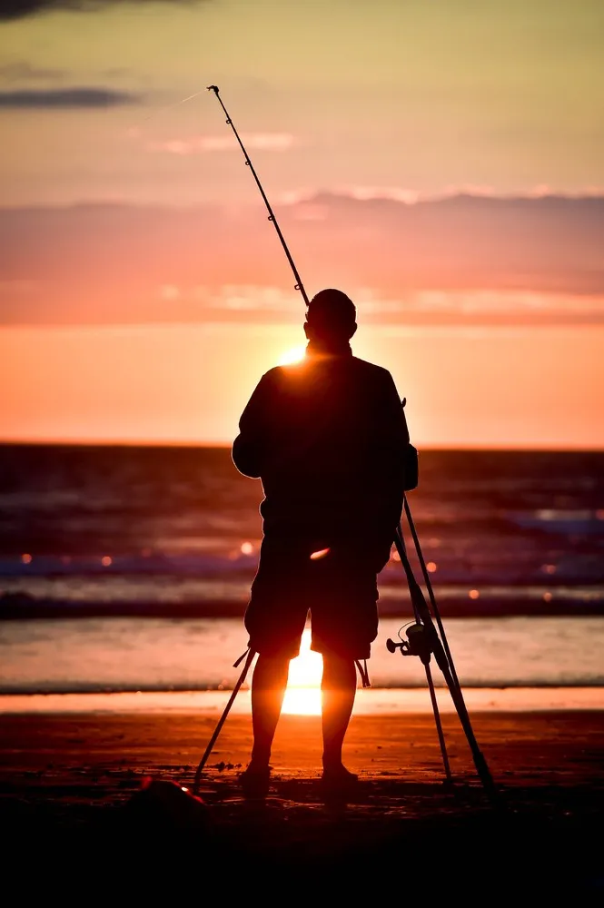 Simply Some Photos: Silhouettes