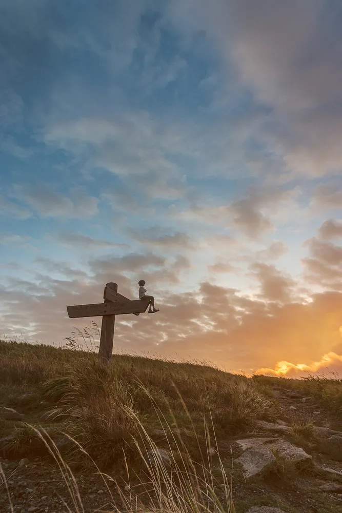 Dolls – it's Serious! Part II