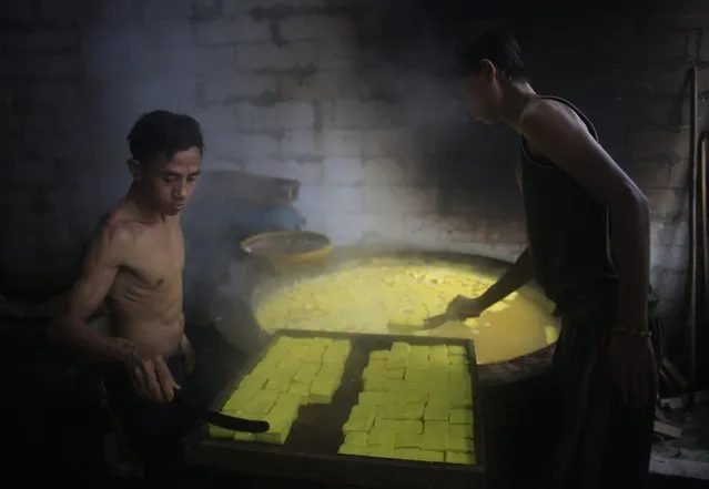 Two Indonesian workers hold boiled tofu  as part of the process of making tofu in a traditional tofu factory in Jakarta, Indonesia, 20 July 2016. Tofu has been a common side dish for many Indonesian families. It is healthy, inexpensive and easy to find throughout the city. Tofu entrepreneurs in Indonesia are suffering due to the weakening of the rupiah against the US dollar. (Photo by Adi Weda/EPA)