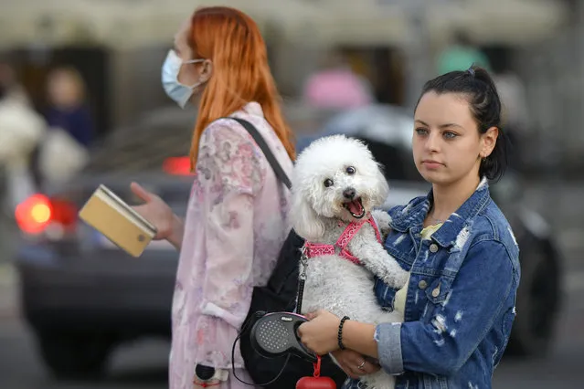 Cara, the dog is held by her owner as she waits to cross a street, next to a woman wearing a face mask for protection against COVID-19 infection in Bucharest, Romania, Friday, October 2, 2020. Romania has registered on Friday the highest number of new COVID-19 infections, over 2000, since the fist case was reported in February. (Photo by Andreea Alexandru/AP Photo)