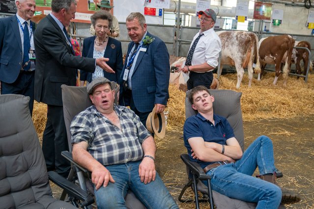 A couple of farmers sleep as The Princess Royal tours the cattle stalls in the Highland Hall during a visit to the Royal Highland Show at the Royal Highland Centre in Ingliston, Edinburgh on Friday, June 20, 2025. (Photo by Jane Barlow/PA Images via Getty Images)