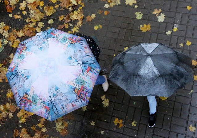 A couple with a child walks under an umbrella on seasonal colored leaves, as it rains in the central park in Minsk, Belarus, 09 October 2016. (Photo by Tatyana Zenkovich/EPA)