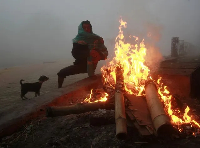 A man warms himself by a bonfire as a puppy looks on a cold and foggy morning in Agartala, capital of India's northeastern state of Tripura, December 29, 2014. (Photo by Jayanta Dey/Reuters)