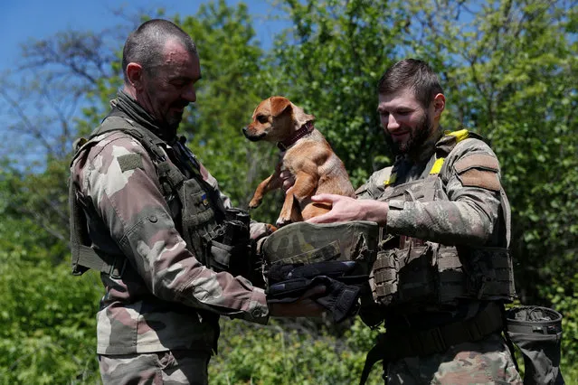 A Ukrainian serviceman of the 128th Mountain assault Brigade puts a dog in a helmet after a military training, amid Russia's attack on Ukraine, in Dnipropetrovsk region, Ukraine on May 15, 2023. (Photo by Bernadett Szabo/Reuters)