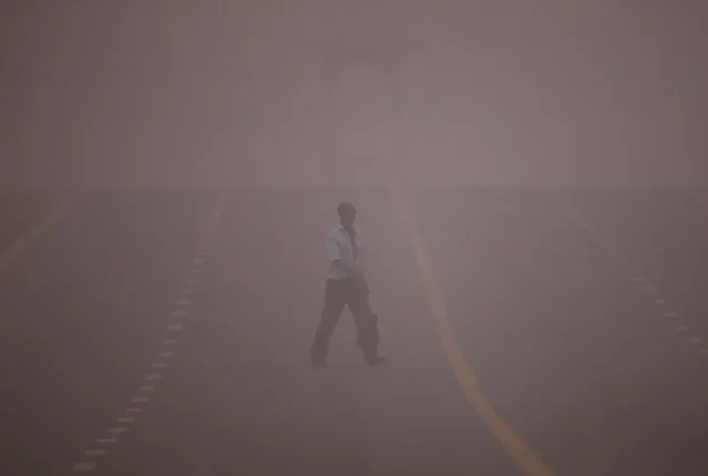 A man crosses a road amidst the heavy smog in New Delhi, India, November 6, 2016. (Photo by Adnan Abidi/Reuters)