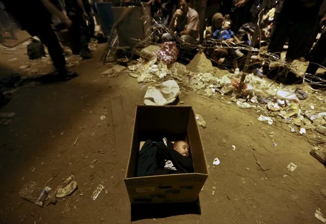 A Syrian refugee baby sleeps in a box at Greece's border with Macedonia near the village of Idomeni early morning September 7, 2015. (Photo by Yannis Behrakis/Reuters)
