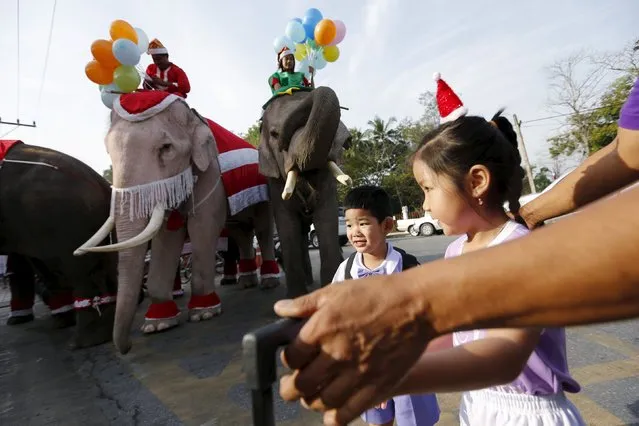 Children walk past elephants as they arrive in school to attend a Christmas festival in Ayutthaya, Thailand, December 24, 2015. (Photo by Jorge Silva/Reuters)