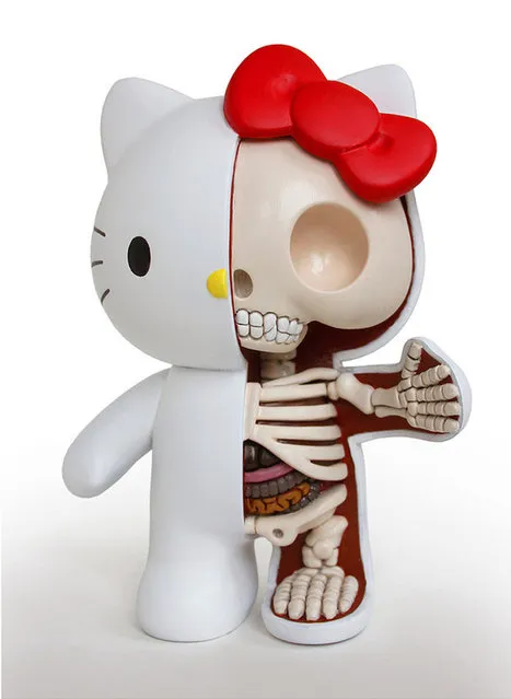 Anatomical Toys By Jason Freeny