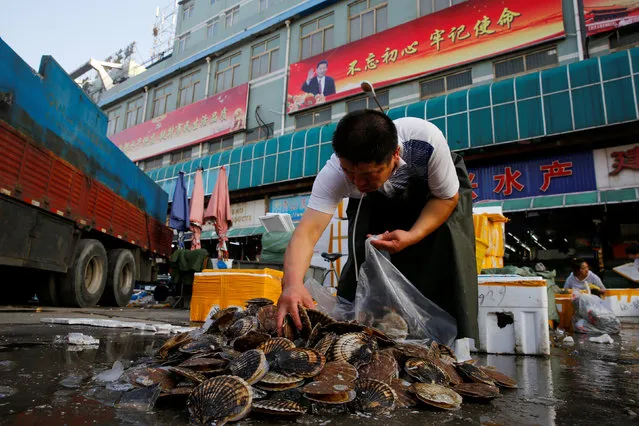 A retailer picks out clams from a pile at the seafood section of a fish market in Beijing, China, June 27, 2018. (Photo by Thomas Peter/Reuters)