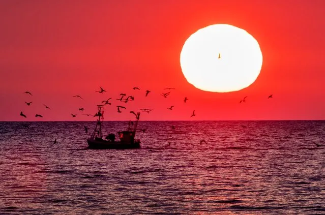 One of the few left fishermen steers his boat past the rising sun on the Baltic Sea near Niendorf, Germany, Monday, June 19, 2023. (Photo by Michael Probst/AP Photo)