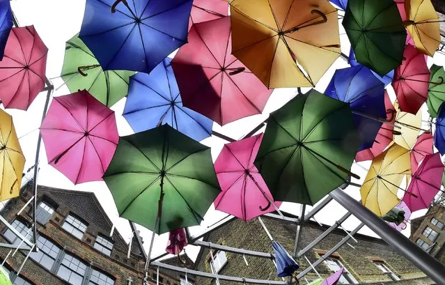 A sculpture constructed of umbrellas is seen in the rain in a street in central London, Britain, January 3, 2016. (Photo by Toby Melville/Reuters)