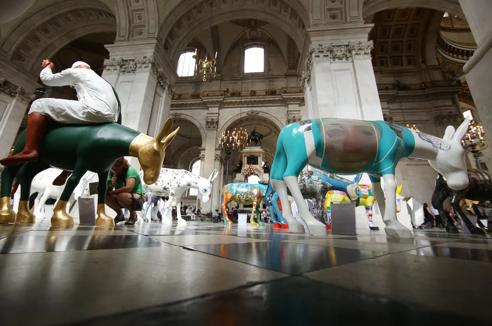 Painted Donkeys Arrive to St. Paul's Cathedral