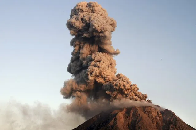Indonesia's Mount Sinabung volcano spews lava and ash during an eruption as seen from Tiga Serangkai village in Karo, Indonesia North Sumatra province, January 7, 2016 in this photo taken by Antara Foto. (Photo by Rony Muharrman/Reuters/Antara Foto)