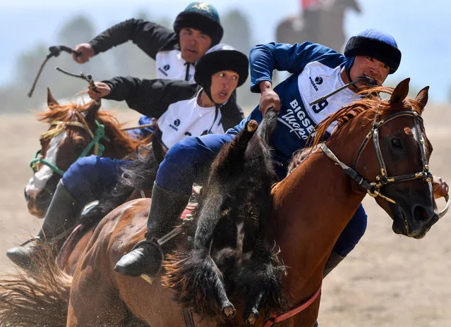 Horse riders of teams from Kyrgyzstan play the traditional Central Asian sport of Kok-Boru (Gray Wolf) or Buzkashi (Goat Grabbing) during the Kok-Boru World Cup in Cholpon-Ata near Issyk-Kule lake, some 250kms east of Bishkek, on August 14, 2023. Mounted players compete for points by throwing a stuffed sheepskin into a well. (Photo by Vyacheslav Oseledko/AFP Photo)