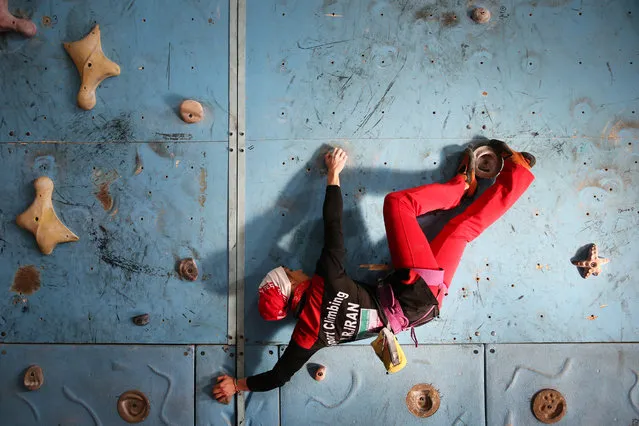 In this Monday, January 18, 2016 photo,  Iranian rock climber, Farnaz Esmaeilzadeh, scales a climbing gym in the city of Zanjan, some 330 kilometers (207 miles) west of the capital Tehran, Iran. (Photo by Ebrahim Noroozi/AP Photo)